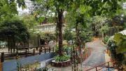 Top Vythiri