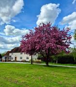 Top Hatfield Peverel