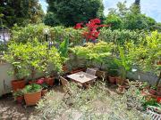 Guest House Pi Guest House Pi