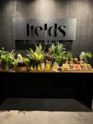 Airfield Living - Airport