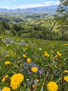 Top MÄgura Top MÄgura