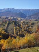 Alpine Escape Studios