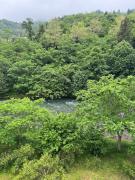 sleep to the river sound