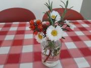 Top Santo Stefano di Magra