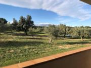 Appartement vinaros proche de la mer