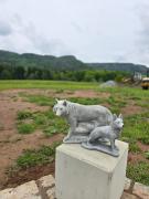 Top Radków Top Radków