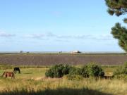 Weißes Dünenhaus mit Meerblick
