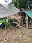 Top Tapantí Top Tapantí