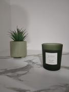 Top Fontenay-le-Comte