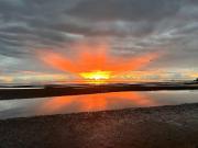 Quiet granny flat with loft bedroom