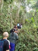 Finca El Mirador la Laguna