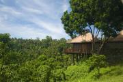 Top Ubud