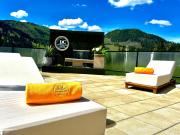 Domeniul CRIS Vatra Dornei