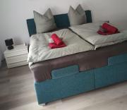 Im Harzer Vogelnest Spatzennest