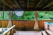 Top Sevierville