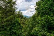 Top Sevierville