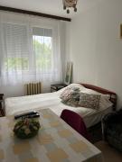 Kedves Kuckó a belvárosban