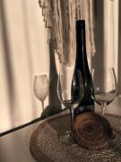 Top Dolní Dunajovice