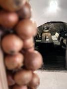 Top Dolní Dunajovice