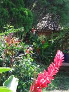 Top El Valle