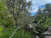 Top Bustillo del Páramo