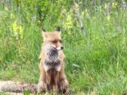 El Pecu Casa Rural Starfamiliar