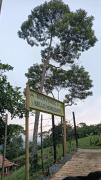 Top San Rafael