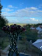 Villa auf der Klippe