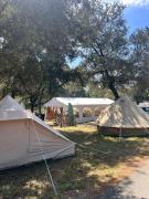 Top Saint-Trojan-les-Bains