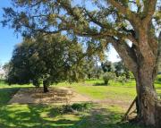 Top Prunelli-di-Fiumorbo