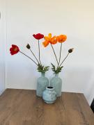 PRACHTiG CHALET ZONNESTRAAL