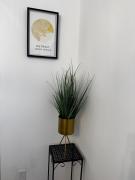 Top Detroit Top Detroit