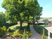 Top Marlieux