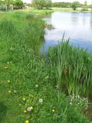 Familienhotel Brandtsheide