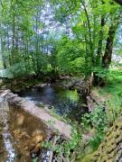 Top Saint-Maurice-sur-Moselle Top Saint-Maurice-sur-Moselle