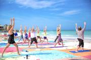 Top Siesta Key