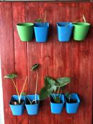 Home Long Stay, Johor Bahru