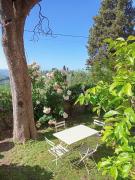 Top Colle di Buggiano