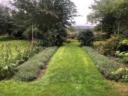 Charming and Peaceful Garden Cottage