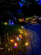 The White Rabbit Inn