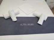 Alpha Rooms
