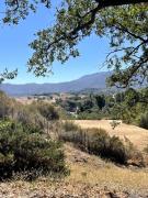 Top Temecula