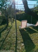 Top Colle di Buggiano