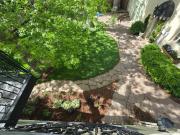 Luxury Living in the city