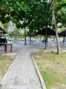 Golden Sun-Fisherhut