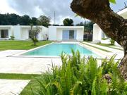 Volcano Bliss Volcano Bliss