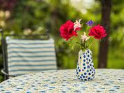 Top Uhldingen-Mühlhofen