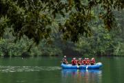 Top Dandeli