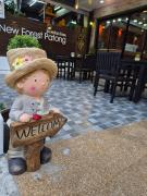 New Forest Patong Hotel, Patong Beach