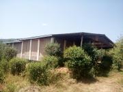 Top Maasai Mara National Reserve